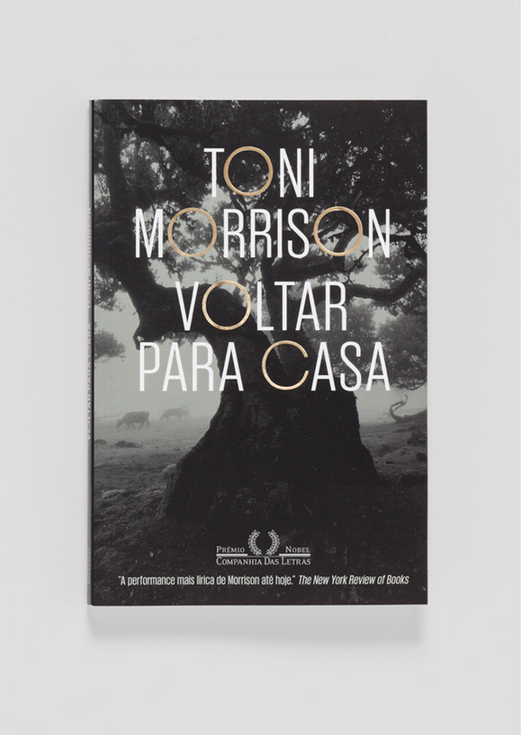 Capa do livro Voltar para Casa, Toni Morrison, editora Cia. das Letras - Design por Mateus Valadares
